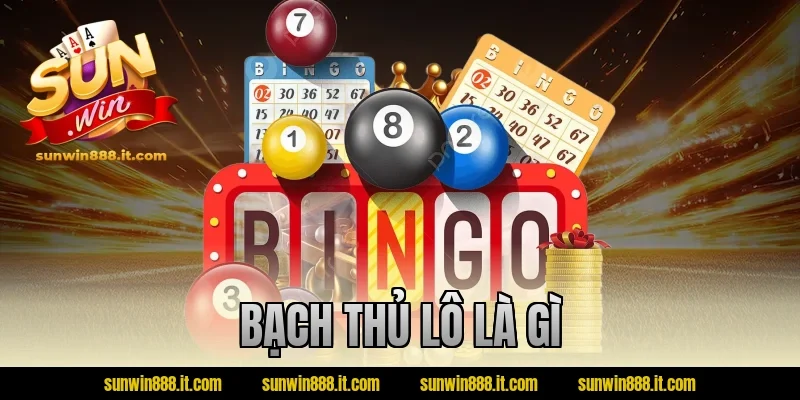 Bạch Thủ Lô Là Gì? Giải Mã Thuật Ngữ Trước Khi Áp Dụng Chơi